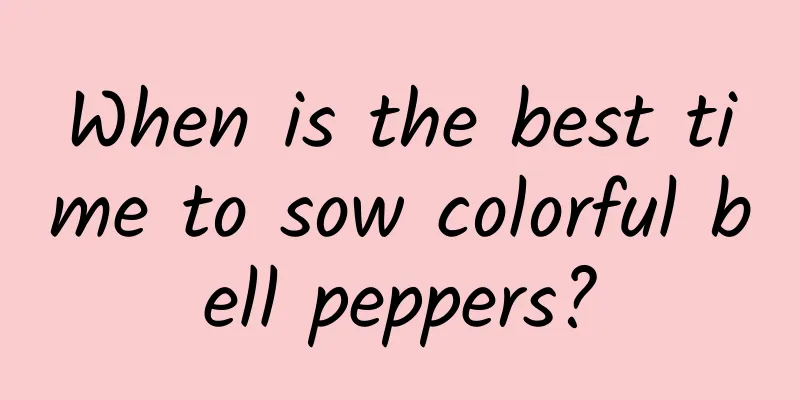 When is the best time to sow colorful bell peppers?