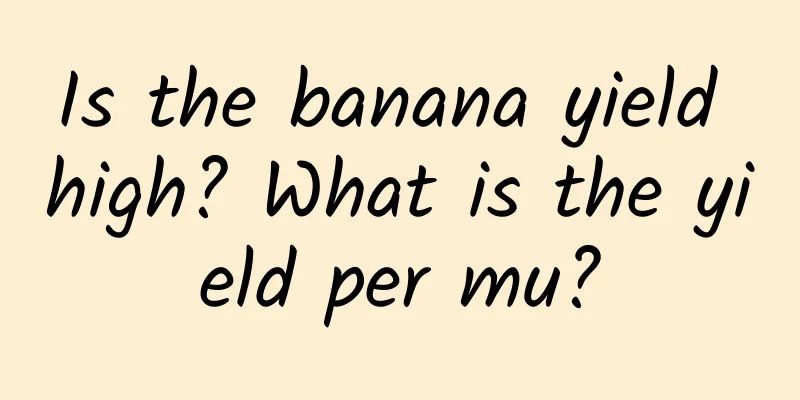 Is the banana yield high? What is the yield per mu?