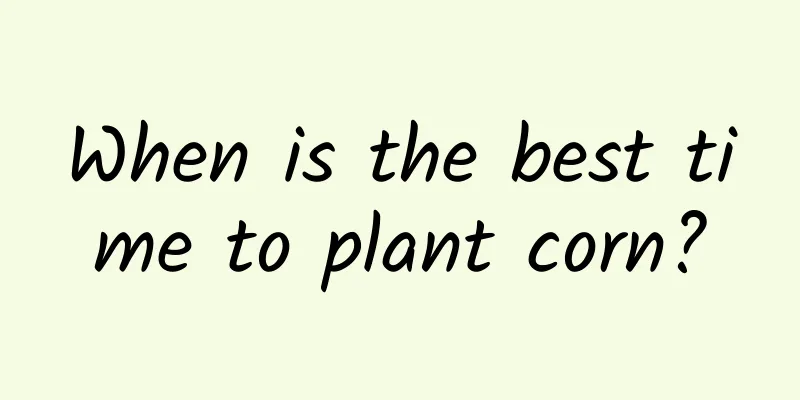 When is the best time to plant corn?