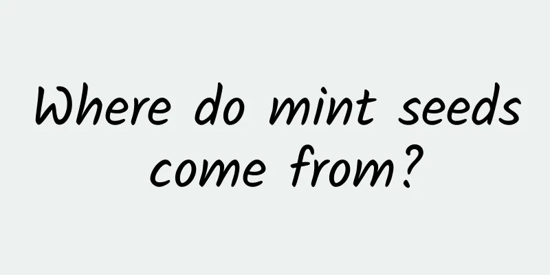 Where do mint seeds come from?