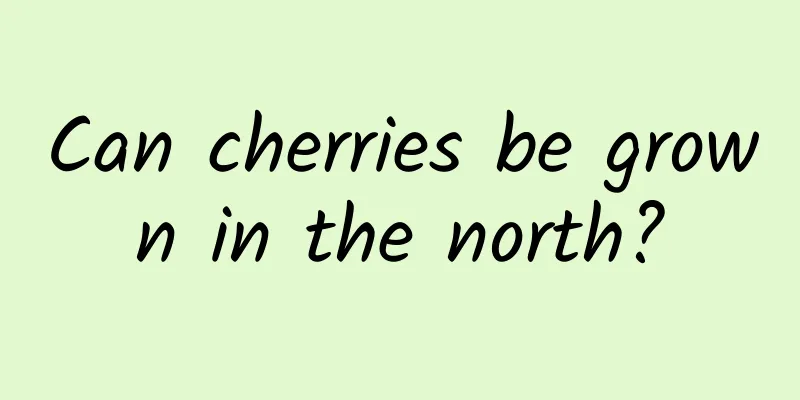 Can cherries be grown in the north?