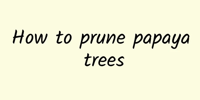How to prune papaya trees