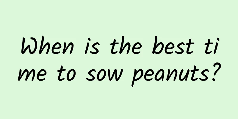 When is the best time to sow peanuts?