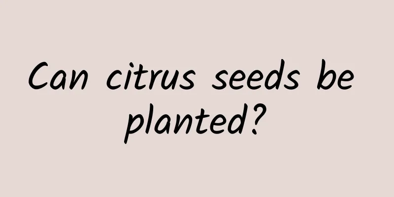 Can citrus seeds be planted?