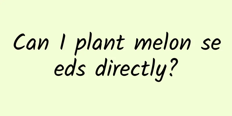 Can I plant melon seeds directly?