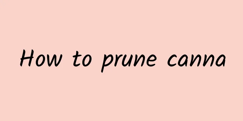 How to prune canna
