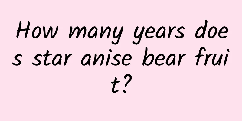 How many years does star anise bear fruit?