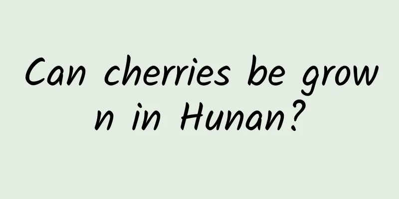 Can cherries be grown in Hunan?