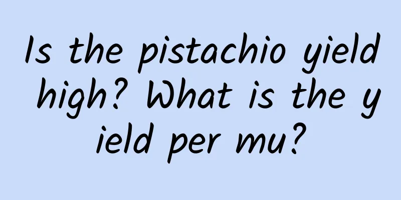 Is the pistachio yield high? What is the yield per mu?