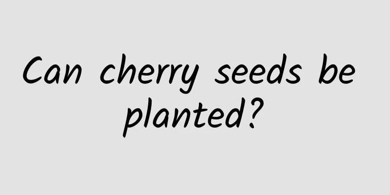 Can cherry seeds be planted?