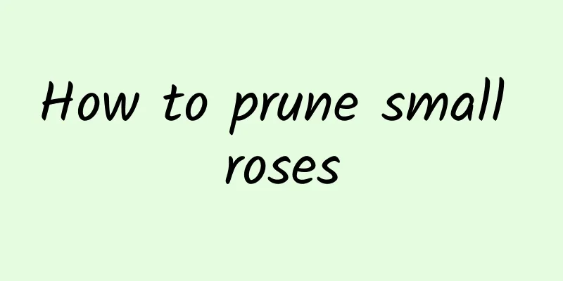 How to prune small roses