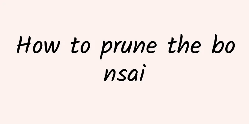 How to prune the bonsai