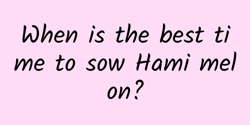 When is the best time to sow Hami melon?