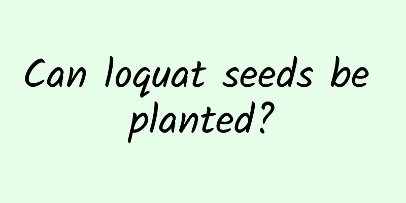 Can loquat seeds be planted?