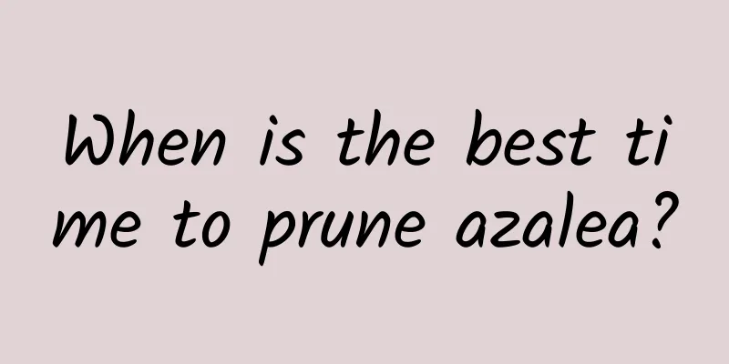 When is the best time to prune azalea?