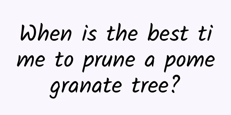 When is the best time to prune a pomegranate tree?