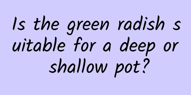 Is the green radish suitable for a deep or shallow pot?