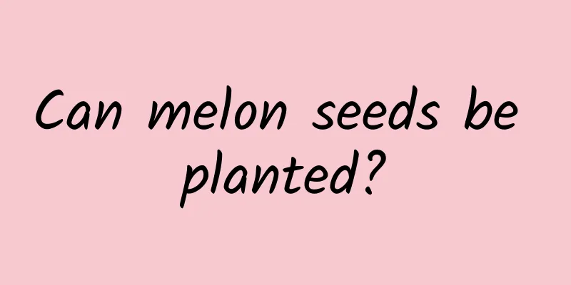 Can melon seeds be planted?