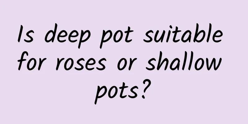 Is deep pot suitable for roses or shallow pots?
