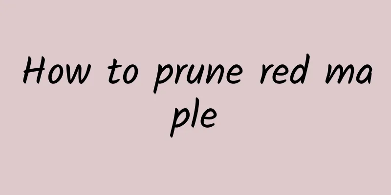 How to prune red maple