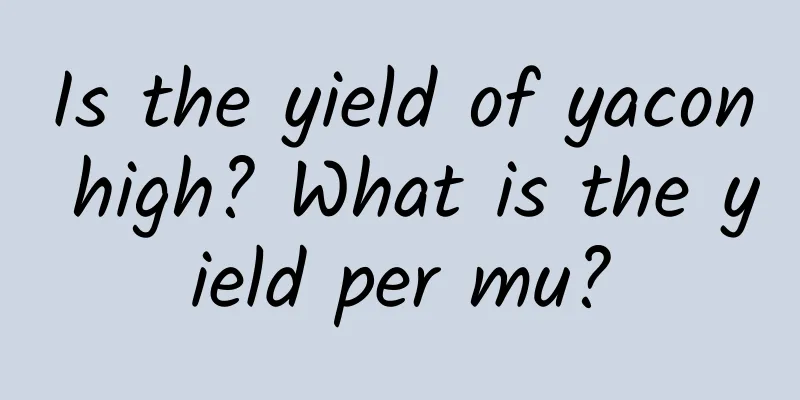 Is the yield of yacon high? What is the yield per mu?