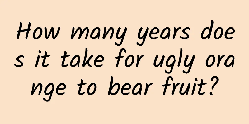 How many years does it take for ugly orange to bear fruit?