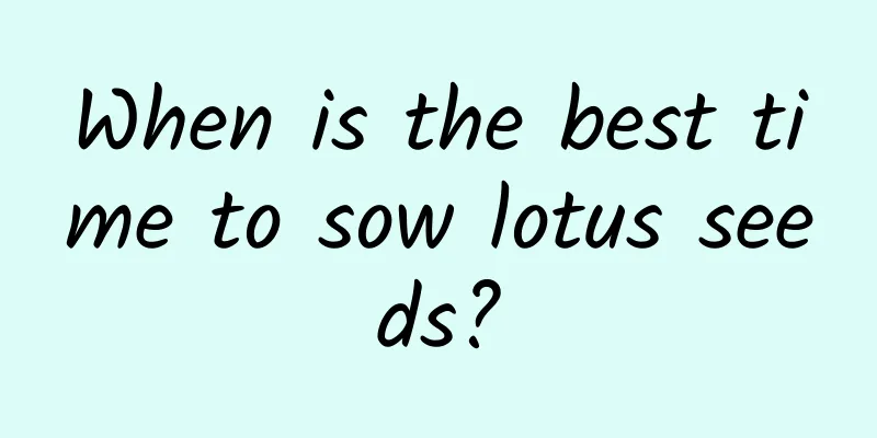 When is the best time to sow lotus seeds?