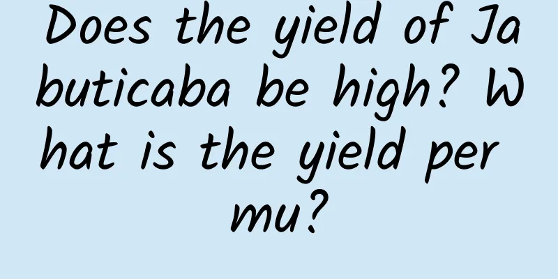 Does the yield of Jabuticaba be high? What is the yield per mu?