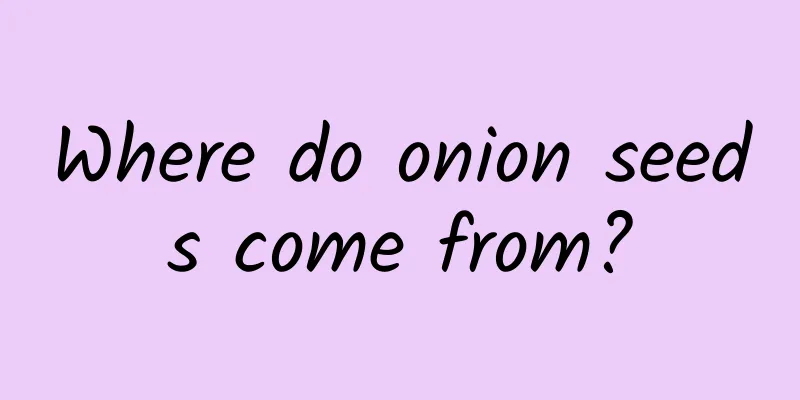 Where do onion seeds come from?