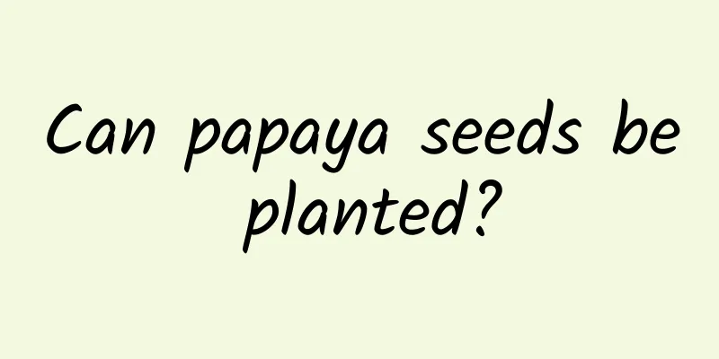 Can papaya seeds be planted?