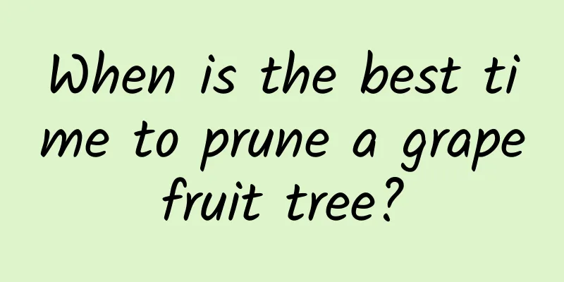 When is the best time to prune a grapefruit tree?