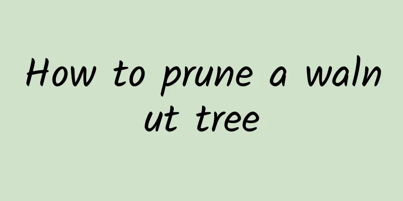 How to prune a walnut tree