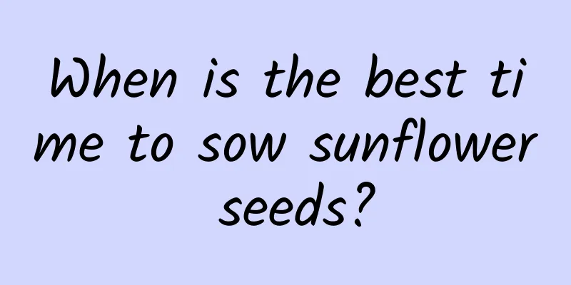When is the best time to sow sunflower seeds?