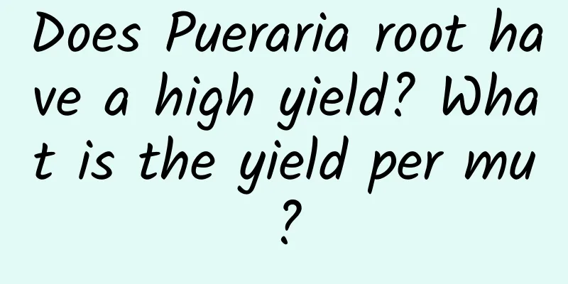 Does Pueraria root have a high yield? What is the yield per mu?