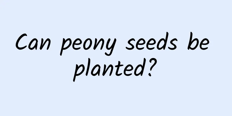 Can peony seeds be planted?