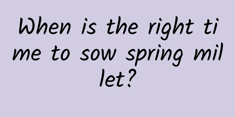 When is the right time to sow spring millet?