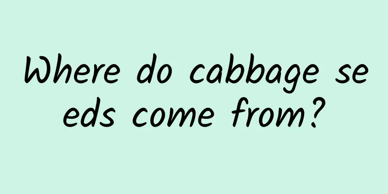 Where do cabbage seeds come from?