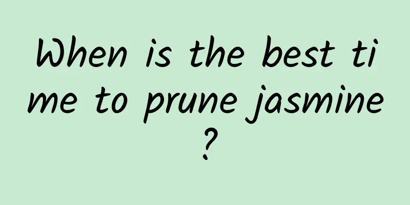 When is the best time to prune jasmine?
