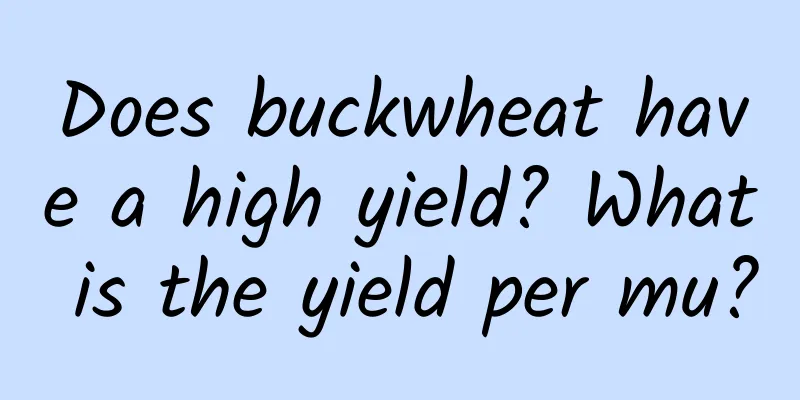 Does buckwheat have a high yield? What is the yield per mu?