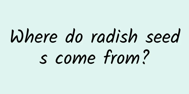 Where do radish seeds come from?