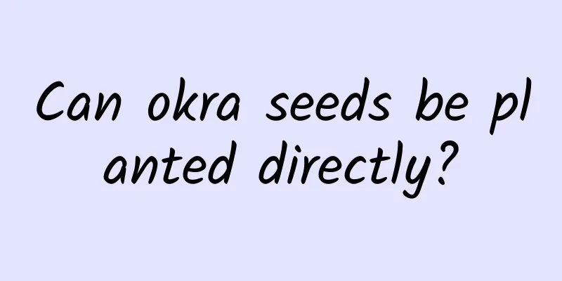 Can okra seeds be planted directly?