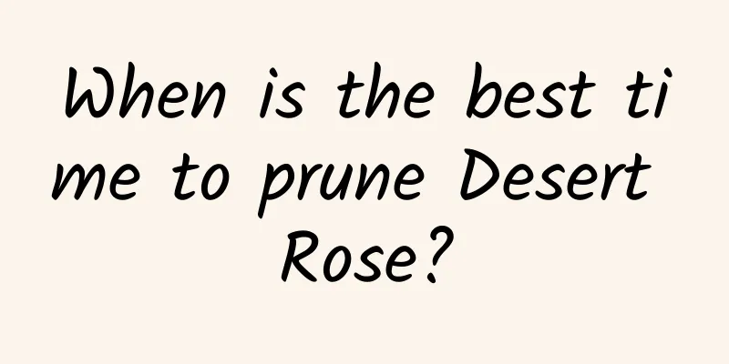 When is the best time to prune Desert Rose?