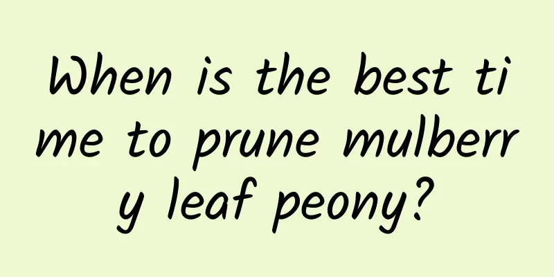When is the best time to prune mulberry leaf peony?
