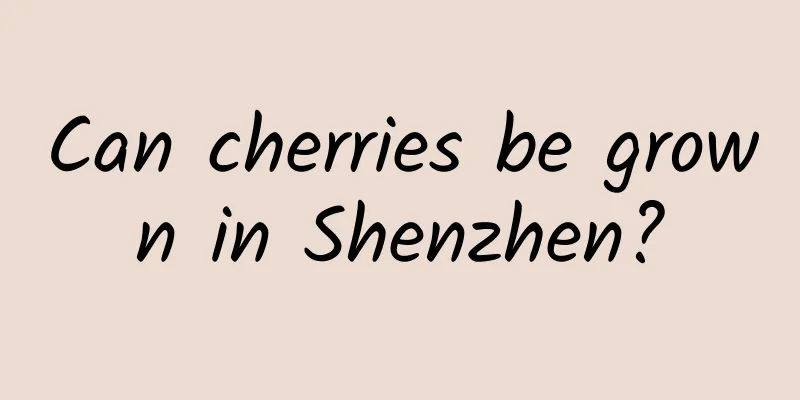 Can cherries be grown in Shenzhen?