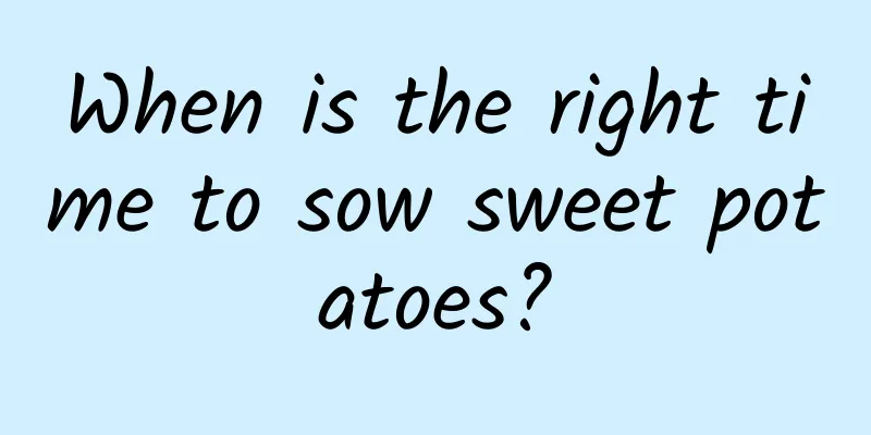 When is the right time to sow sweet potatoes?
