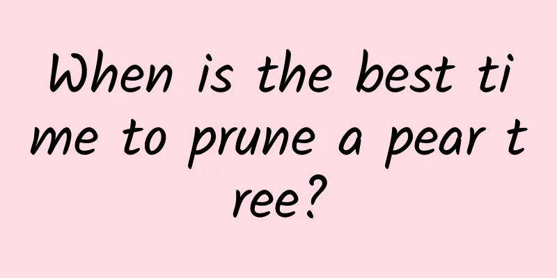 When is the best time to prune a pear tree?