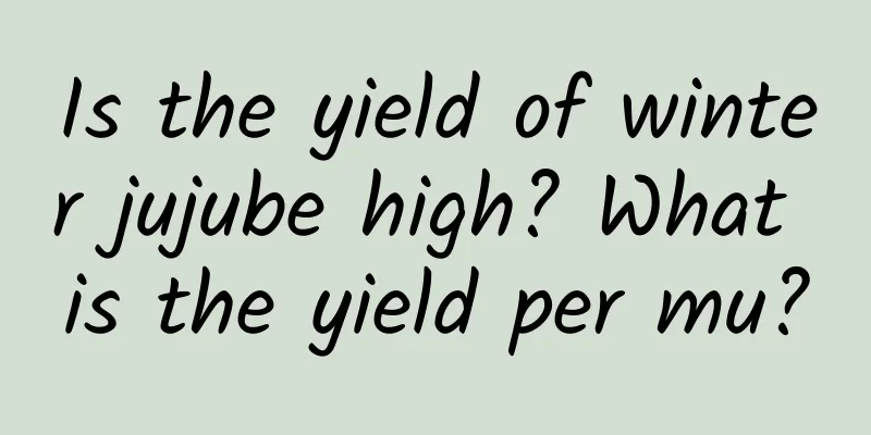 Is the yield of winter jujube high? What is the yield per mu?