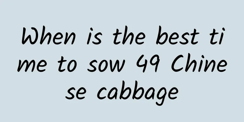 When is the best time to sow 49 Chinese cabbage