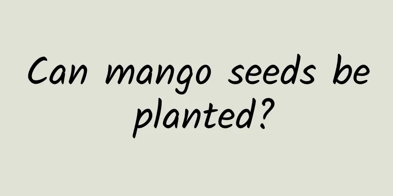 Can mango seeds be planted?