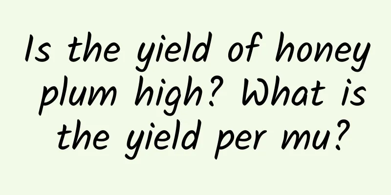 Is the yield of honey plum high? What is the yield per mu?